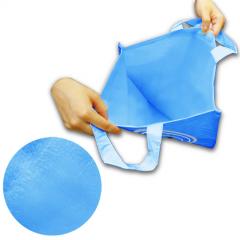 Economic PE Cooler Bag