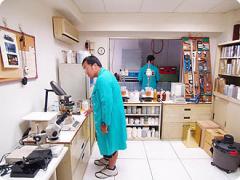 本祥貿易有限公司