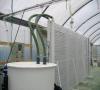 工程微藻養殖Algae Cultivation