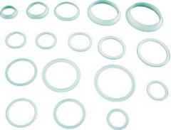 PTFE 次填封元件 PTFE Components