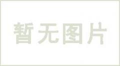 大量的紫菜和紫菜苗