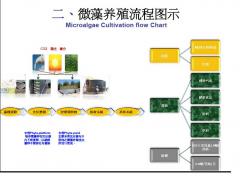 Algae Cultivation and stream-line products production